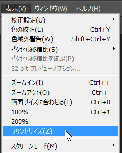 printsize1