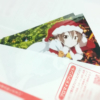Thumbnail of related posts 098