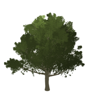 tree2