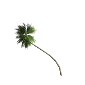 tree4