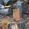 Thumbnail of related posts 031