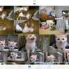 Thumbnail of related posts 141