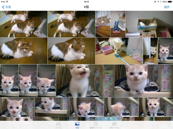Thumbnail of post image 115