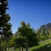 Thumbnail of related posts 150